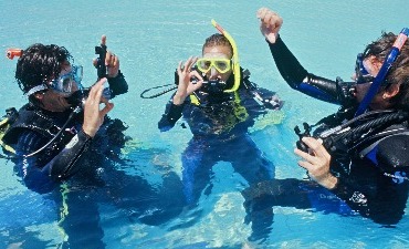 OPEN WATER DIVER